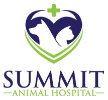 summit animal hospital